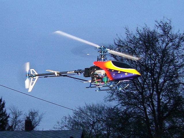 NewCanopy 009a.jpg
